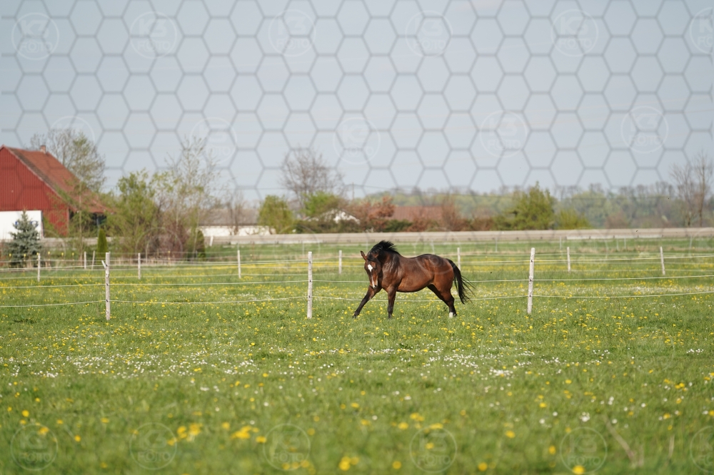 s_A9_09630.jpg